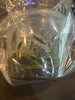 FLASK Notylia sp.