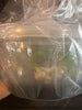 FLASK Porpax thaithongiae