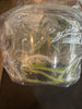 FLASK Den griffithianum