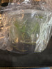 Flask Bletia catenulata