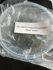 FLASK Psychilis truncate flava ‘Jeimy’