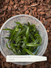 FLASK Dimorphorchis rossii