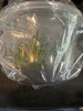 Flask Jumellea gracilipes