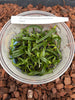 FLASK Bulbophyllum lasianthum