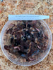 FLASK  Cystorchis javanica  JEWEL