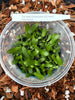 FLASK Amesiella LOC Hello Kitty (monticola x Ceratocentron fesselii)
