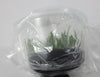 FLASK Bulbophyllum flaviflorum