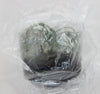FLASK  Holcoglossum subulifolium