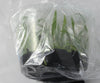 FLASK Barkeria spectabilis