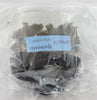 FLASK Dossinia marmorata JEWEL ORCHIDS