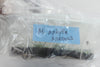 FLASK Microcoelia aphylla
