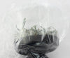 FLASK Neocogniauxia hexaptera