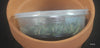 FLASK Taeniophyllum biocellatum var. hainan