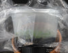 FLASK  Angraecum peyrotii 