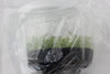 FLASK  Phymatidium tillandsioides