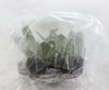 FLASK  Vandopsis gigantea