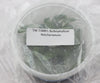 FLASK  Bulbophyllum fletcherianum